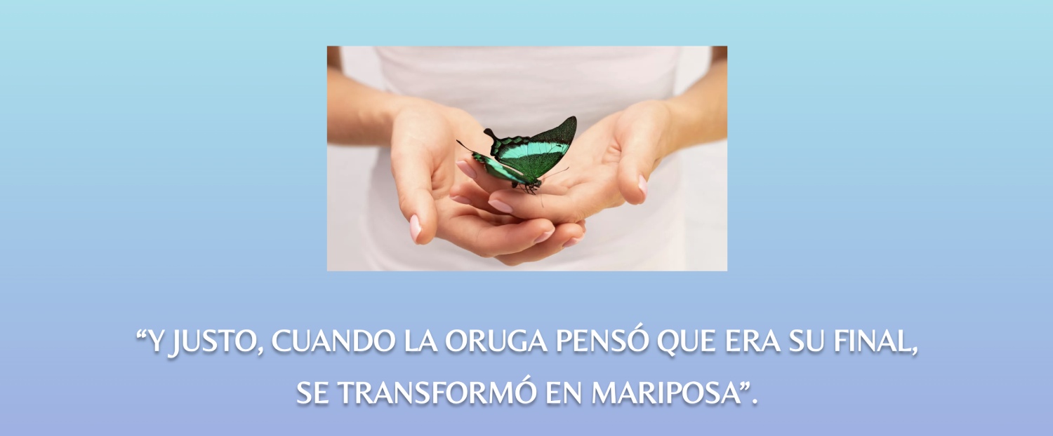La Mariposa Terapias